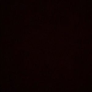 Meet your Posher, Alexa